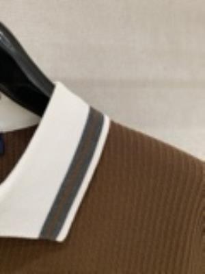 wholesale quality men ralph lauren polo shirts model no. 2807